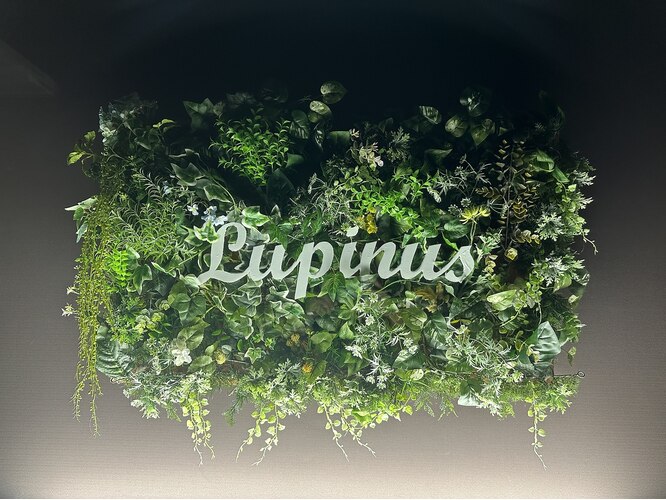 Lupinus（ルピナス）