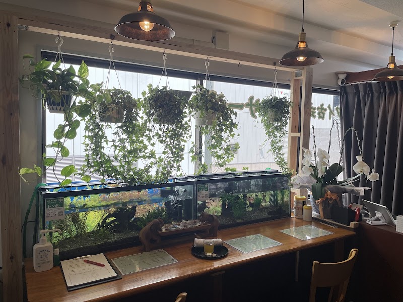 Tonpoh Thai Spa & Massage (トンポータイスパ&マッサージ) タイ古式マッサージ 外観