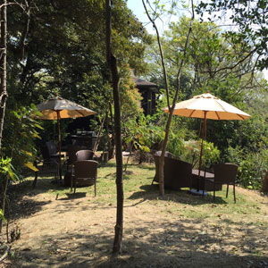 TTMA FOREST SPA タイ古式マッサージ 外観