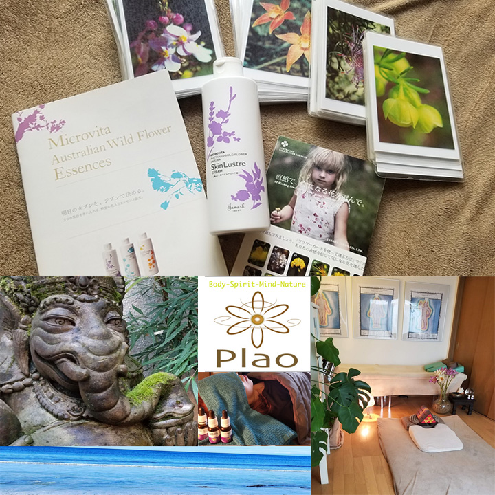 Healing art salon Plao タイ古式マッサージ 外観