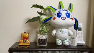 タイスカイ タイマッサージ&スパ Thai skyMassage and Spa