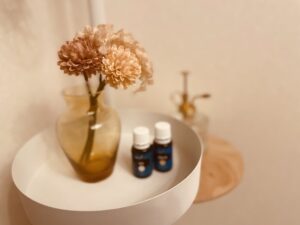 Natural space Shakti 豊明店