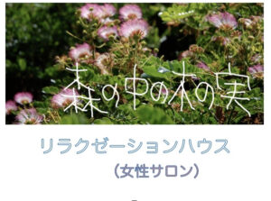 森の中の木の実